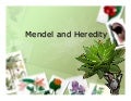 Mendel and heredity pdf