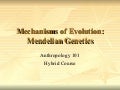 Mendelian Genetics