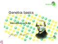 Mendelian Genetics Basics Fernando