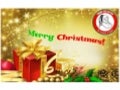 Merry Christmas | Letter to Santa