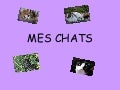 MES CHATS
