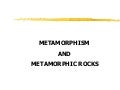 Metaa2