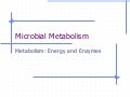 Metabolism a