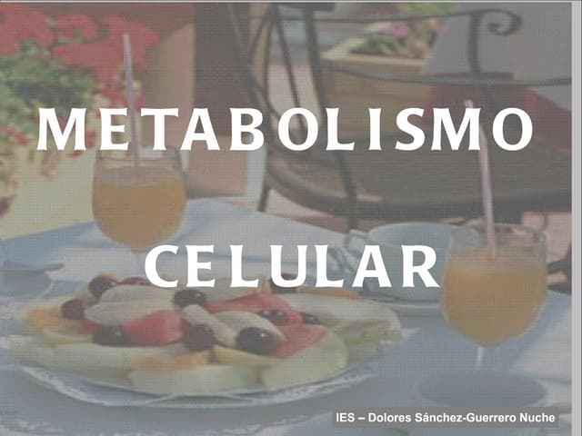 Metabolismo