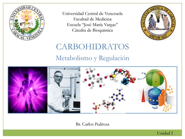 Metabolismo de Carbohidratos