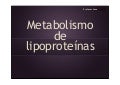 Metabolismo lipoproteínas