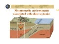 Metaplate