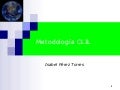 Metodologia AICLE _ CLIL