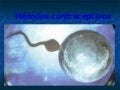 MÉTODOS CONTRACEPTIVOS