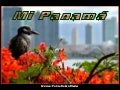 Mi panama
