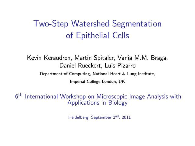 Segmenting Epithelial Cells in High...