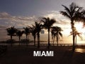 Miami 2 