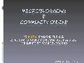 Microblogging & Online Community