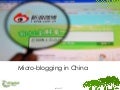 Introducing Micro-Blogging in China