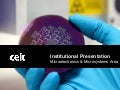 CEIT Institutional Presentation (for Microelectronics & Microsystems Area)