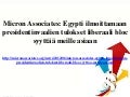Micron Associates: Egypti ilmoittamaan presidentinvaalien tulokset liberaali bloc syyttää meille asiaan
