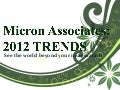 Micron Associates unveils Social Networking sites boom!