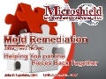 Microshield Mold Remediation Presentation, John Lapotaire, CIEC