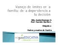 Taller de Límites