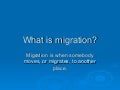 Migration