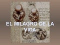 Milagro De La Vida