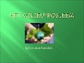 Milieu