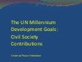 NGOs and the MDGs