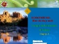 Ecosystems: How do they work?