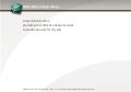 Miller Myers Portfolio.7 Mb