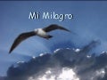MI MILAGRO
