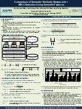 Comparison of Semantic Similarity Measures for NDVC Detection Using Semantic Features