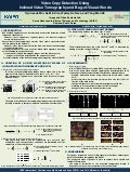 Video Copy Detection Using Inclined Video Tomography and Bag-of-Visual-Words