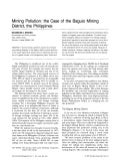 Mining Pollution: The Case of The Baguio Mining District,Philippines