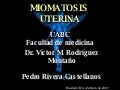 MIOMATOSIS UTERINA