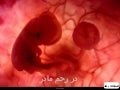 معجزه زندگی