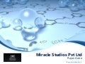 Miracle Studios Pvt Ltd -  Top Digital Agency in India
