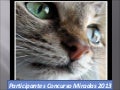 Participantes Concurso Miradas DeGatitos 2013 Homenaje al Día del Animal