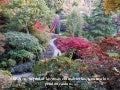 Mira tu jardin