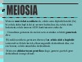 Meiosia
