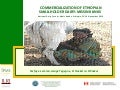 Commercialization of Ethiopian smallholders dairy: missing links