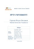 MIV final report