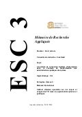Mémoire Henri Lefèvre _ESC Amiens-Picardie _Evolution de la fonction SI et modernisation des administrations publiques françaises
