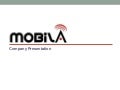 Mobila Company Presentation