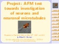 Atomic Force Microscopy (AFM) of Neurons