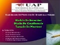 Modelo de encuestas - cuestionario - tamaño de muestra