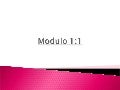 MODULO 1:1