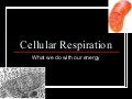 Module 6, lesson 2 cell respiration