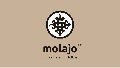 Molajo Joomla! Day New England 2011