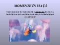 Momente frumoase