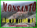 Monsanto Aldeia